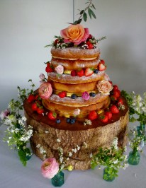 Wedding Cake - Tiverton - April 2016