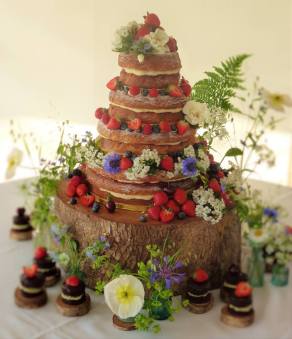 13307289_967187980068523_7575357761903884864_n