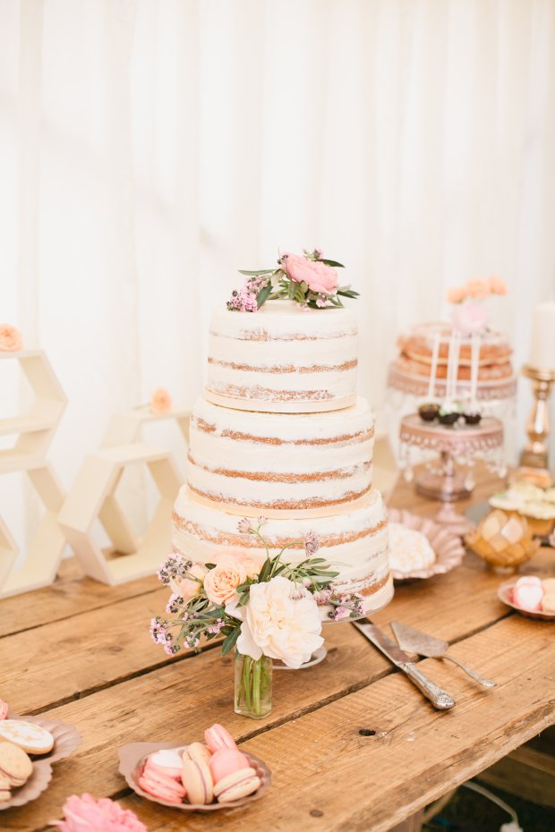 Wedding Cake 'Marldon House', Paignton.  June 2016.  Photo by Megan Welker.